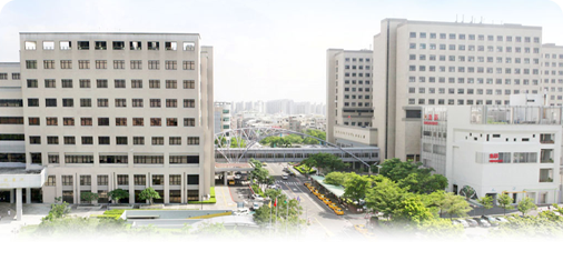 陪伴發展與自信建立